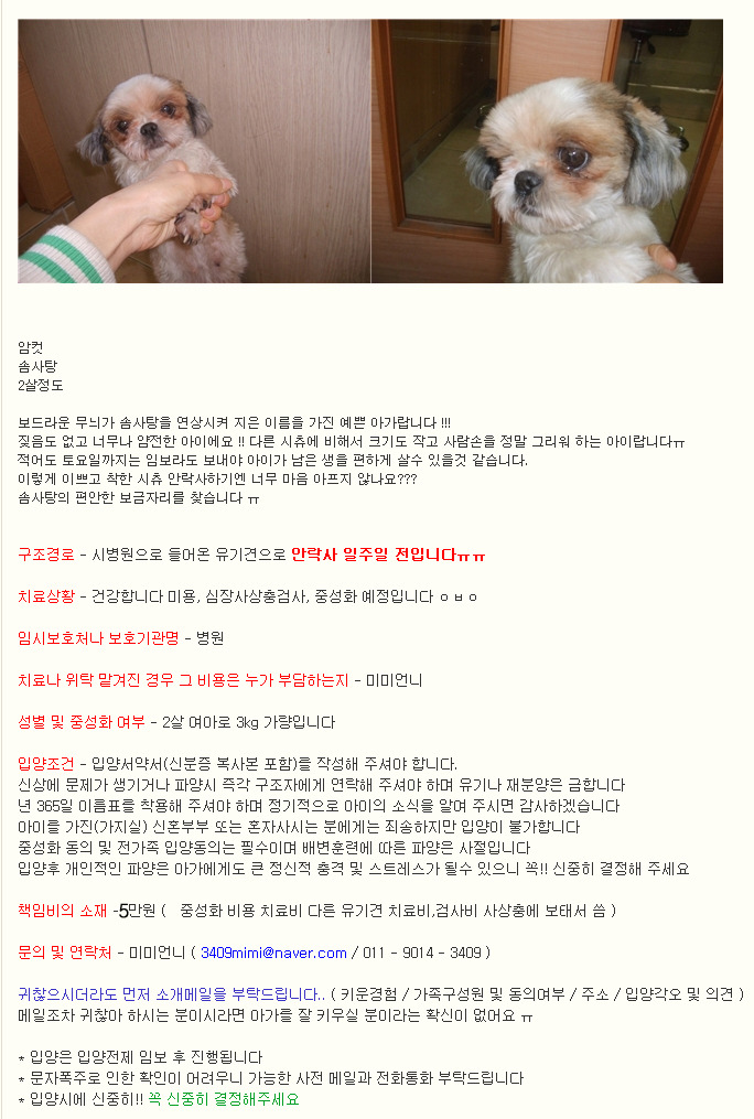 솜사탕 이미지
