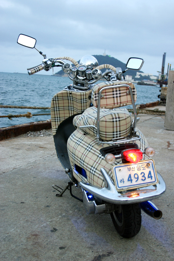 올카 이미지