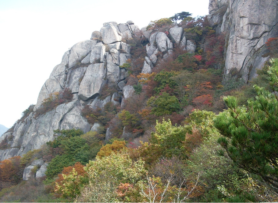 화명정수사업소 이미지