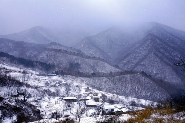 상촌면궁촌리 이미지