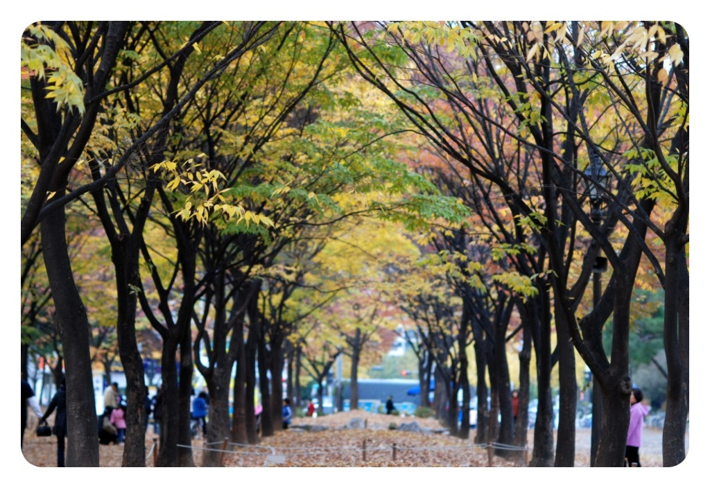중앙화원 이미지