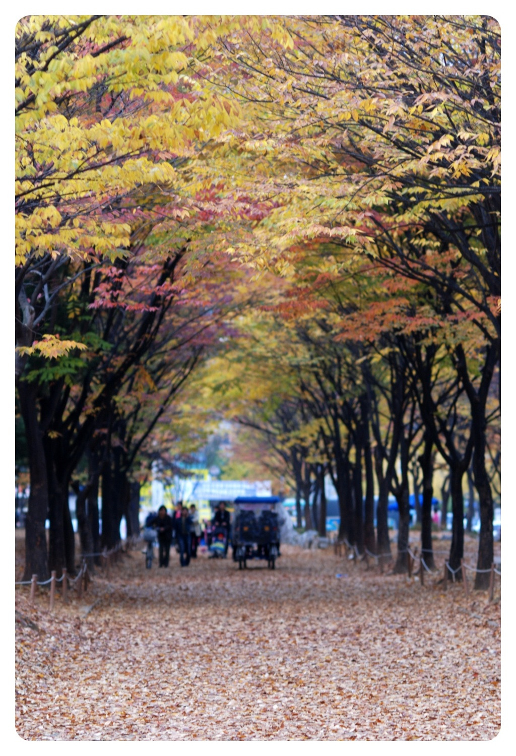 중앙화원 이미지