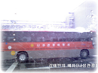 나성관광여행사 이미지