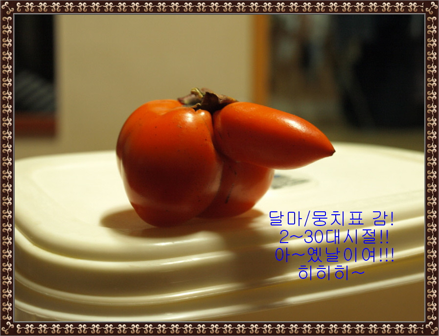 뭉치네 이미지