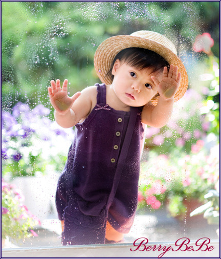 베리스튜디오 이미지