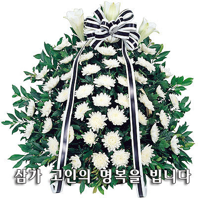 배창 이미지