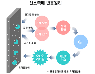 크린테크 이미지